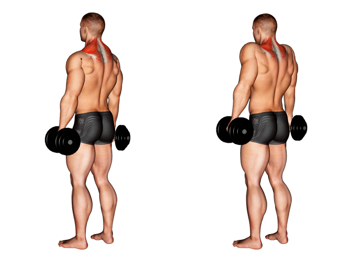 Dumbbell Shrugs Exercise Guide - Form To Do And Benefits
